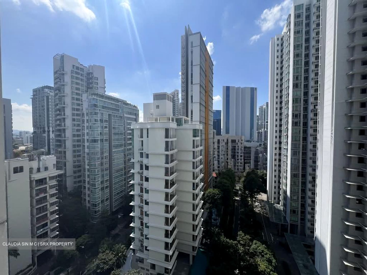 Park Infinia At Wee Nam (D11), Condominium #587634771